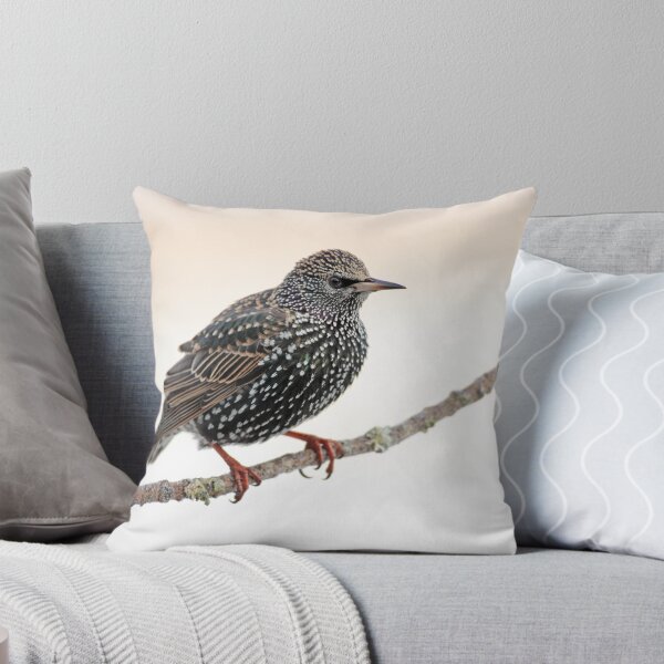 Item preview, Starling designed and sold by Grant Glendinning.