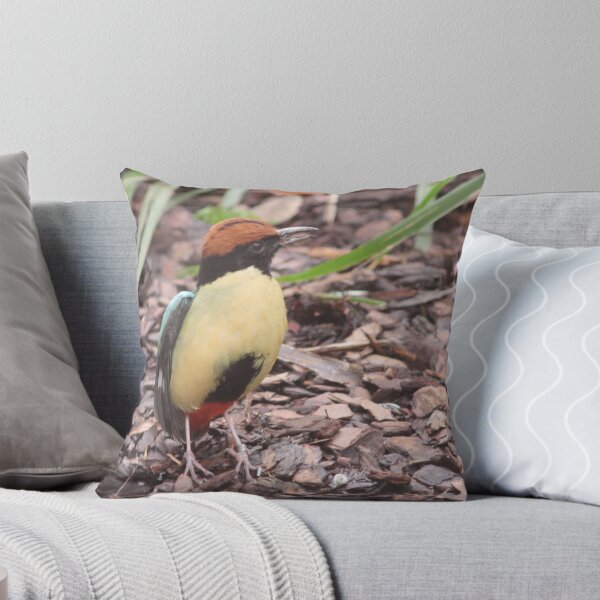 Item preview, Noisy Pitta designed and sold by smallan.
