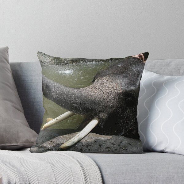Item preview, "Please feed me"  -  Bali Safari Park designed and sold by gbates.