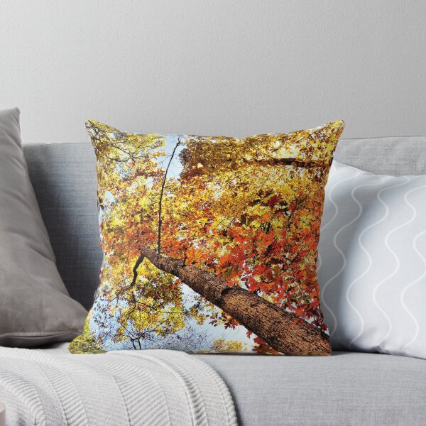 Aperçu de l'œuvre Autumn Wonder créée et vendue par Ann Eldridge.