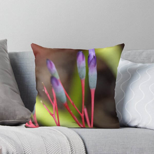 Item preview, Bromeliad designed and sold by Natalie Ord.