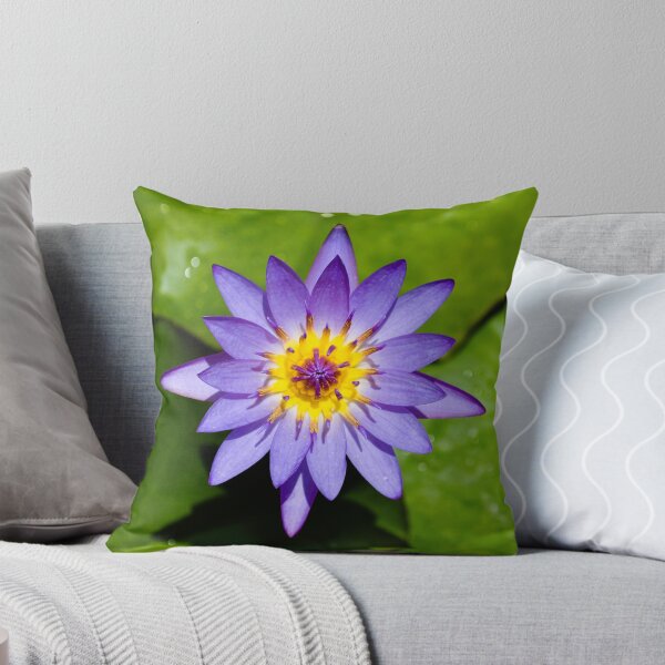 Item preview, water lily i designed and sold by gary roberts.