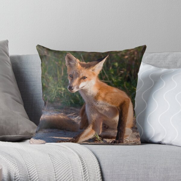 Red Fox In Summer Throw Pillow