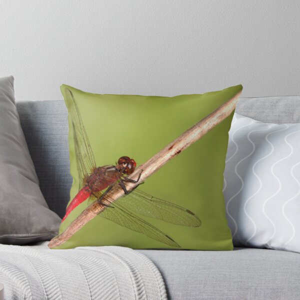 Artikelvorschau, Red dragonfly entworfen und verkauft von Kath Gillies.