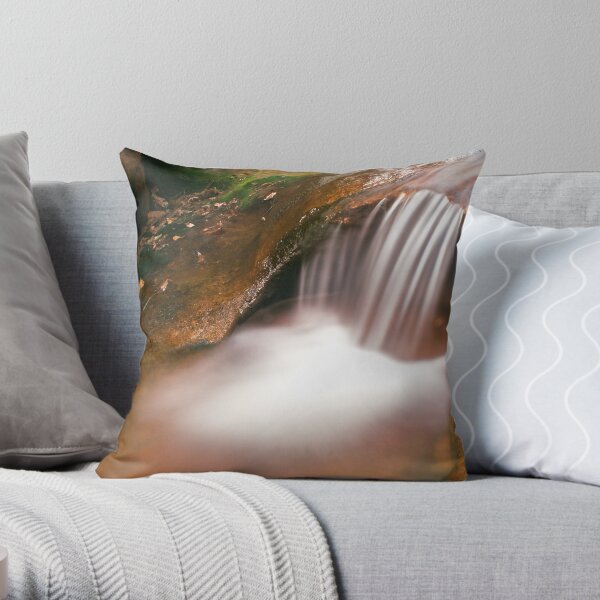 Panchali Kund Stream Throw Pillow