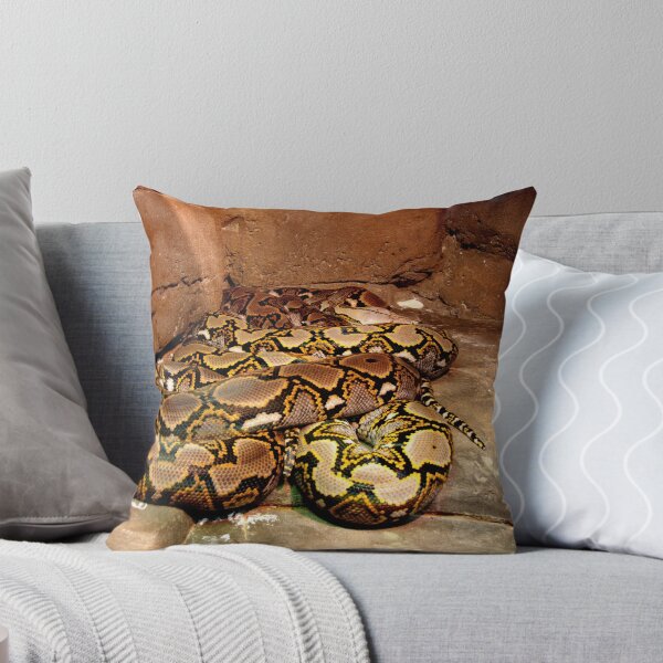 Artikelvorschau,  Reticulated python entworfen und verkauft von Kevin Brett.