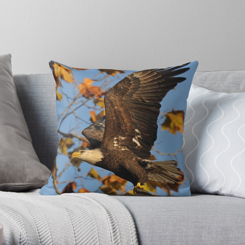 Eagle With Fish, My first Capture Throw Pillow