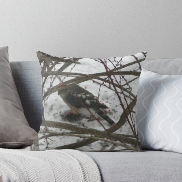 Item preview, Sharp-shinned Hawk at Work, Hamburg, NY designed and sold by artwhiz47.
