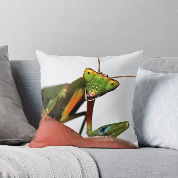 Item preview,  Encontré en un jardín de amigos designed and sold by evenflow.
