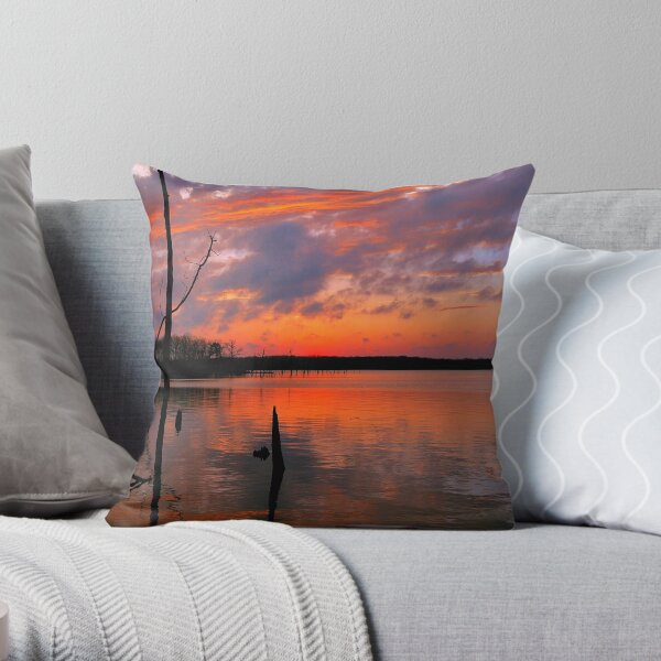 Reflection of Color Throw Pillow
