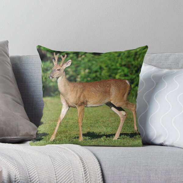 Buck Strolling Around Throw Pillow