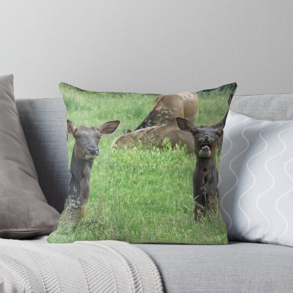 Item preview, You Tell'm Sister, Those Paparazzi Just Make Me Sick! designed and sold by Heather Haderly.