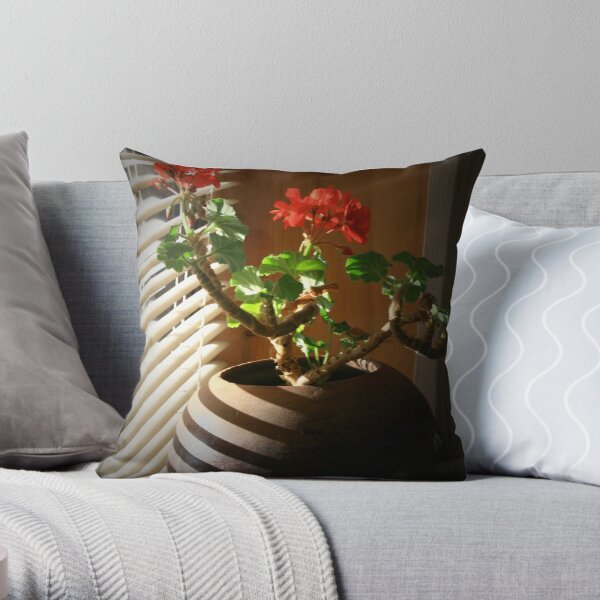 in the window Throw Pillow