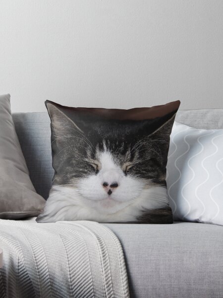 hmmmmm! Throw Pillow