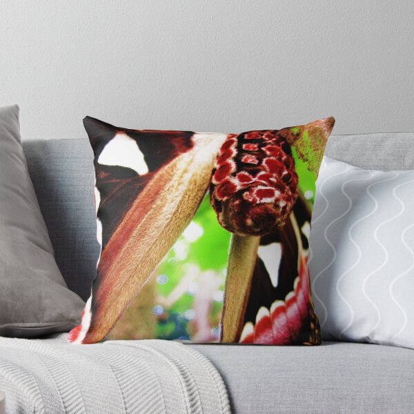 Item preview, attacus atlas 3 designed and sold by lisaellen.