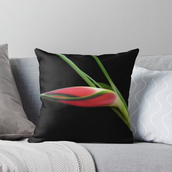 Item preview, Solo designed and sold by Magee.