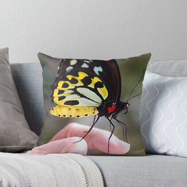 Item preview,   Cairns Birdwing  designed and sold by Judy Ann  Grant.