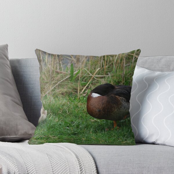 Item preview, sleeping and resting  designed and sold by janfoster.