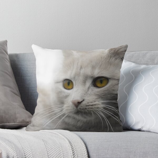Item preview, Portrait of Toffy by Steve designed and sold by jacqi.