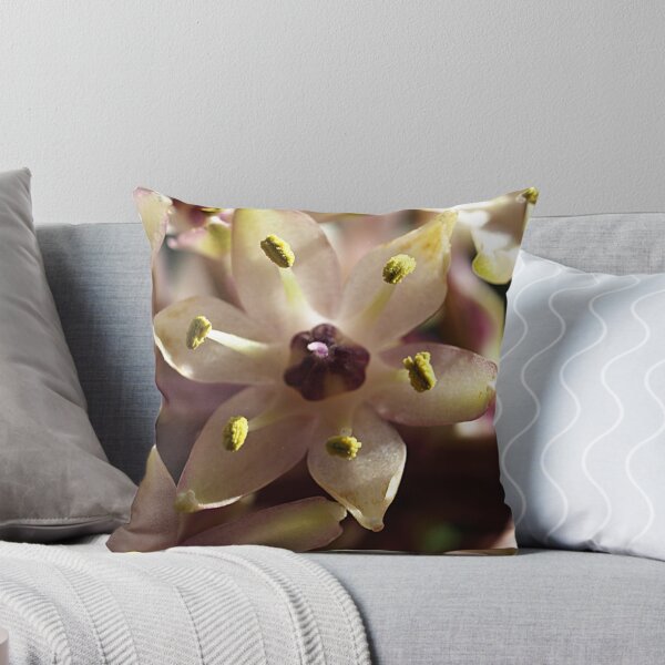 Item preview, Pink Pineapple Lily (Eucomis) designed and sold by Bev Pascoe.