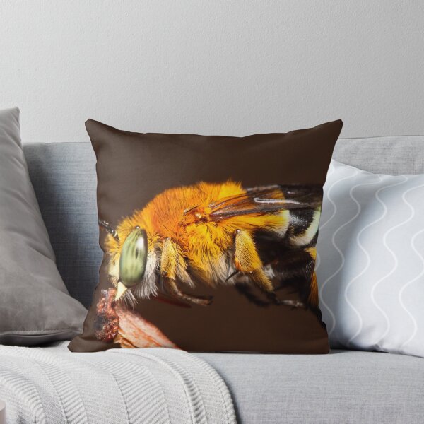 Artikelvorschau, Blue Banded Bee ruht auf einem Zweig entworfen und verkauft von Andrew Durick.