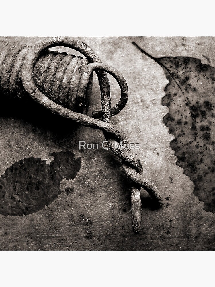 Thumbnail 4 of 4, Pillow, Leaf Spring designed and sold by ronmoss.