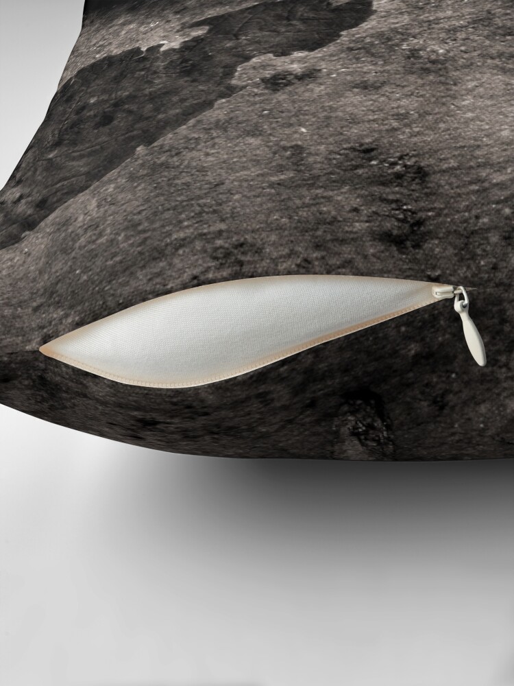 Thumbnail 2 of 4, Pillow, Leaf Spring designed and sold by ronmoss.