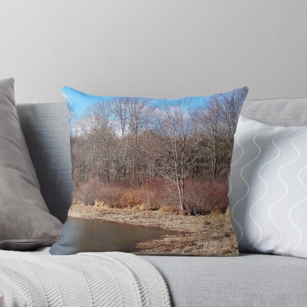 Aperçu de l'œuvre Late Autumn in the Poconos créée et vendue par Dandelion Dilluvio.