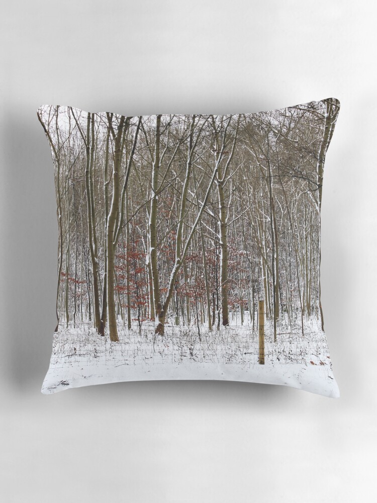 Thumbnail 3 of 4, Pillow, Rainbow woods - Lost designed and sold by blondie1sammo.