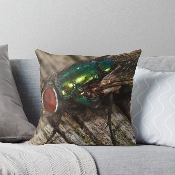 Item preview, Lucilia sericata (Green Blowfly) designed and sold by Andrew Widdowson.