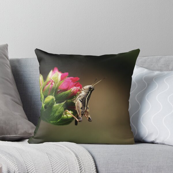 Item preview, Baby grasshopper designed and sold by Alicia  Liliana.