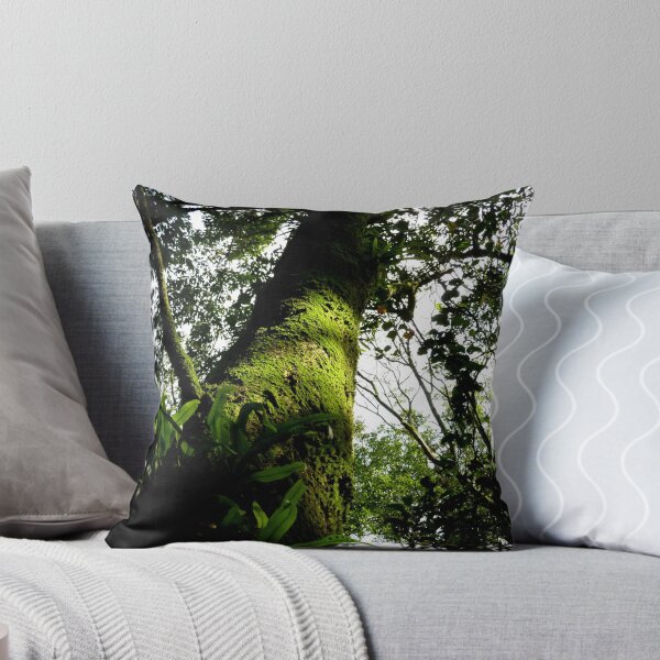 Item preview, Forest, Yangmingshan designed and sold by Digby.