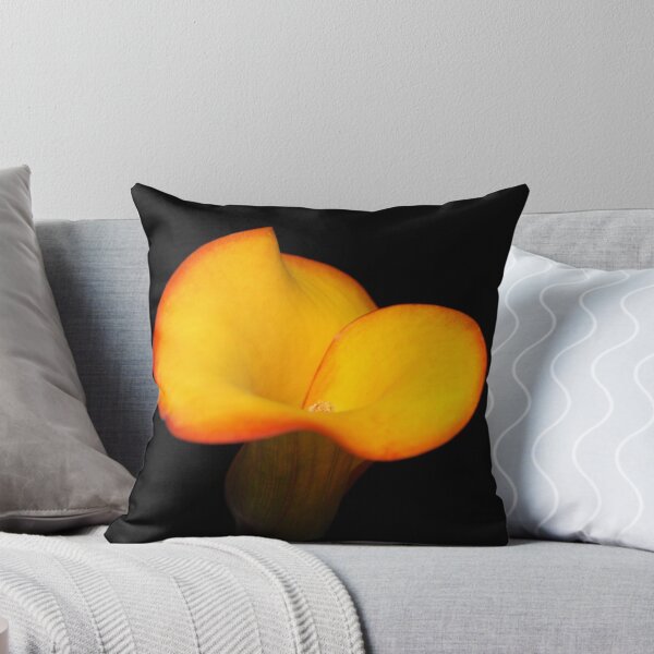 Item preview, Cala designed and sold by tonni.