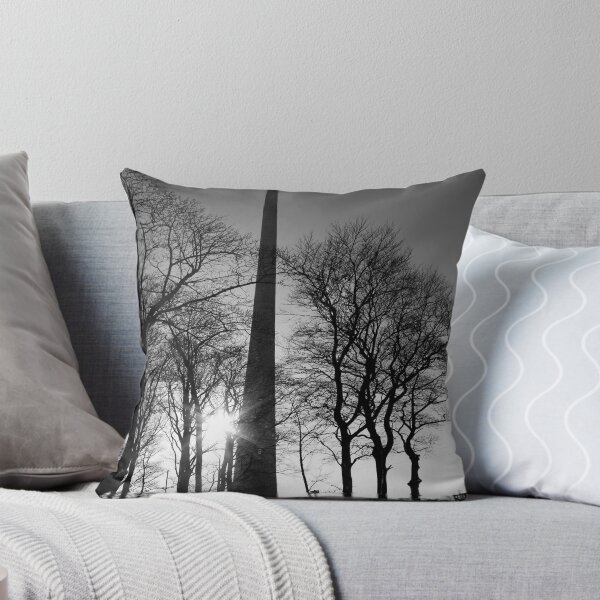 Item preview, Portrait of Emley Moor designed and sold by Squawk.