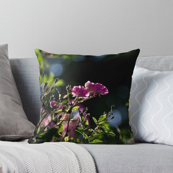 Item preview, Sunrise Roses and Bokeh designed and sold by David Bledsoe.