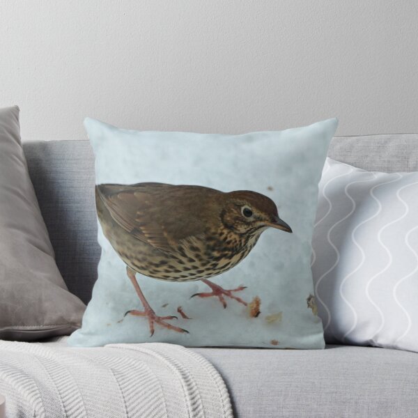 Item preview, Song Thrush designed and sold by Robert Abraham.