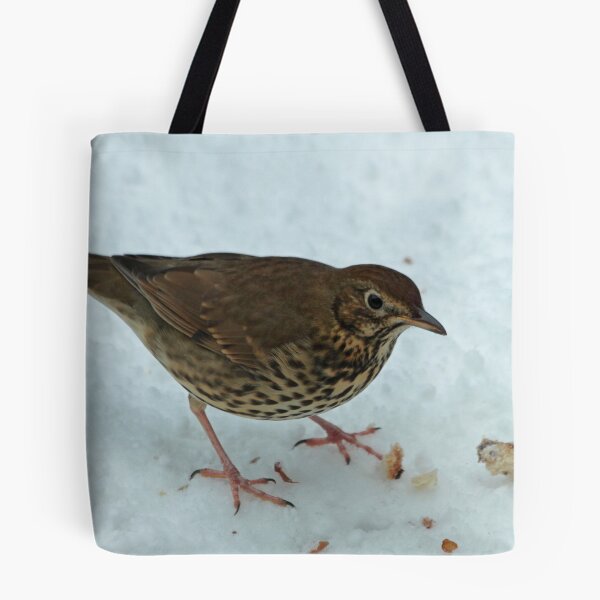 Item preview, Song Thrush designed and sold by Robert Abraham.