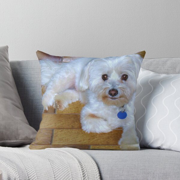 Item preview, "ACEBO" designed and sold by TracyD.