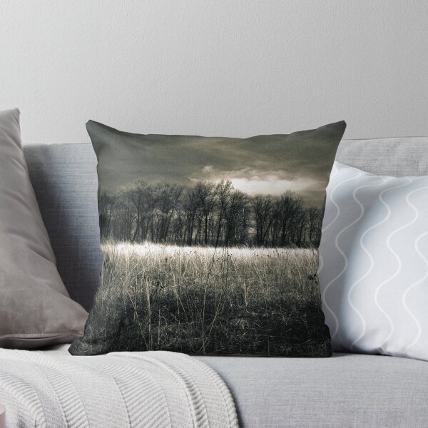 Item preview, Afternoon on the prairie Kitty Todd Nature Preserve designed and sold by MLabuda.