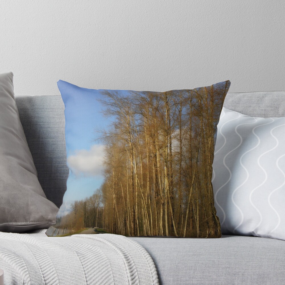Item preview, Throw Pillow designed and sold by MaluC.
