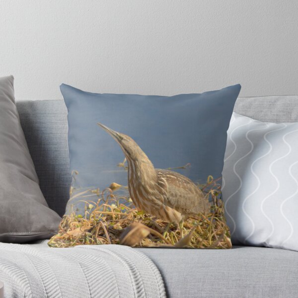 Item preview, Little Bittern designed and sold by Karl F Davis.