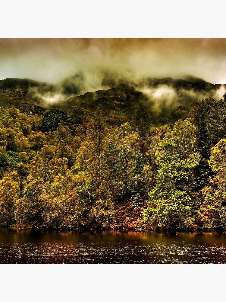 Autumn Mists by Shuggie