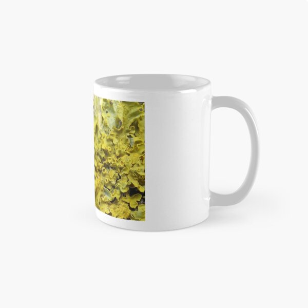 Item preview, Lichen 6 designed and sold by shiro.