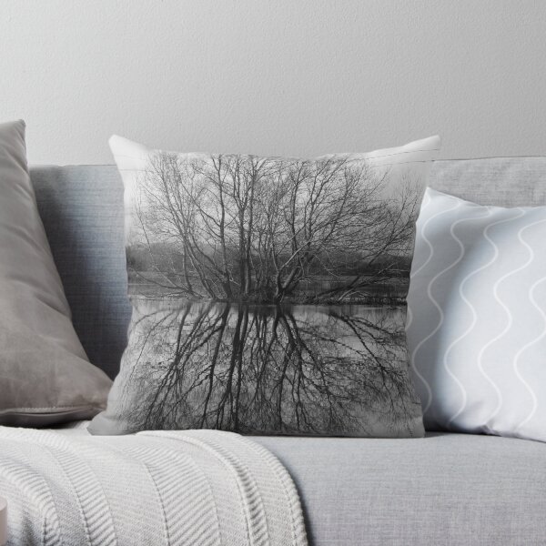 Flood Reflections Throw Pillow