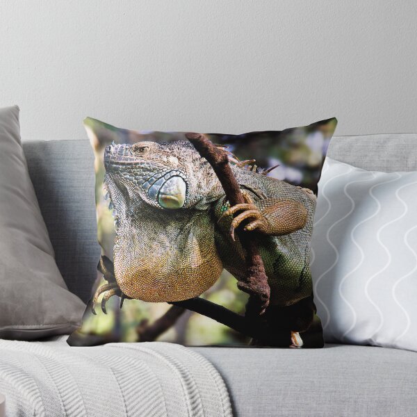 Item preview, Iguana designed and sold by Ben Sharif.