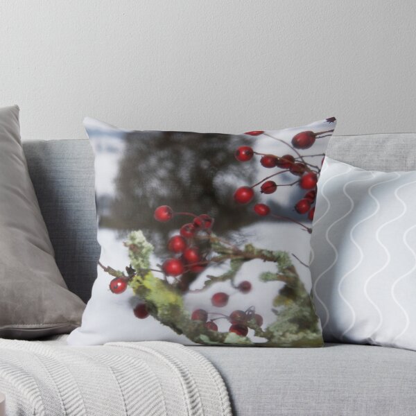 Item preview, As I Walk On By  designed and sold by Carl Gaynor.