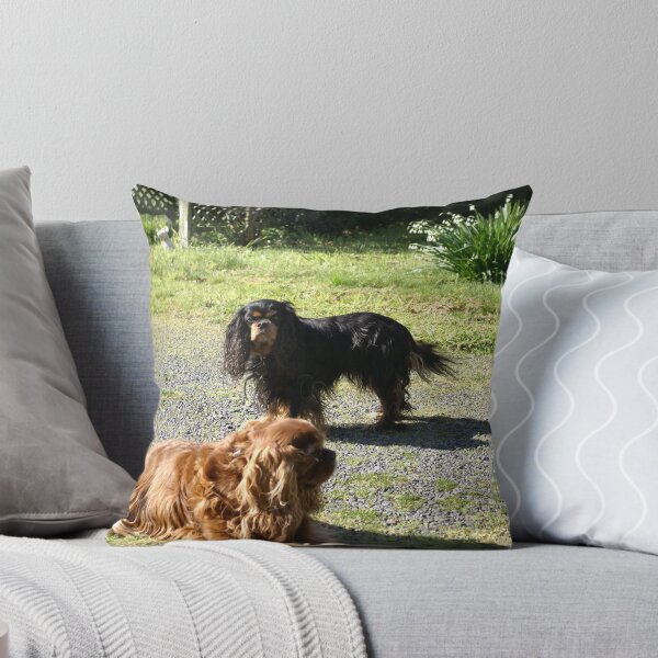 Item preview, Rowley and Nell enjoying some winter sun designed and sold by BronReid.