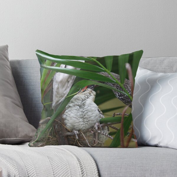Item preview, The Struggle to Feed A Cuckoo designed and sold by byronbackyard.