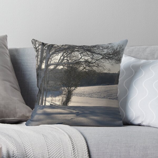 Tracks in the afternoon Throw Pillow