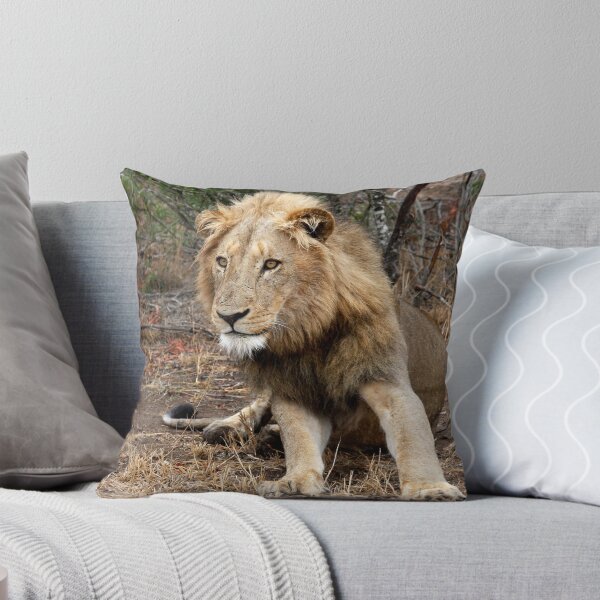 Item preview, Lion Focus designed and sold by Marie Strydom.